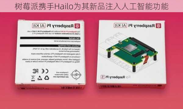 树莓派携手Hailo为其新品注入人工智能功能