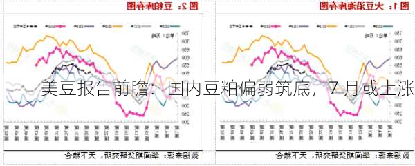 美豆报告前瞻：国内豆粕偏弱筑底，7 月或上涨