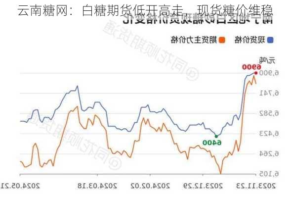 云南糖网：白糖期货低开高走，现货糖价维稳