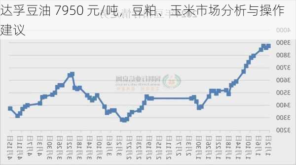 达孚豆油 7950 元/吨，豆粕、玉米市场分析与操作建议