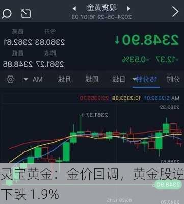 灵宝黄金：金价回调，黄金股逆势下跌 1.9%