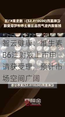 智云健康：维生素B6注射液上市申请获受理，预计市场空间广阔