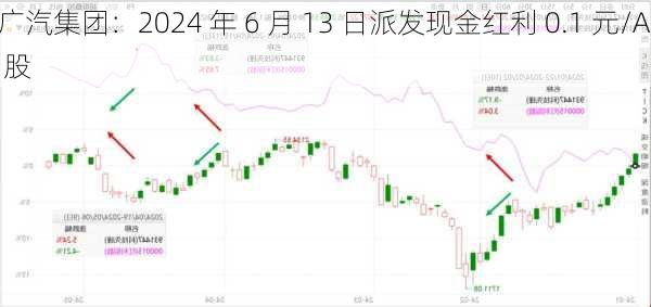 广汽集团：2024 年 6 月 13 日派发现金红利 0.1 元/A 股