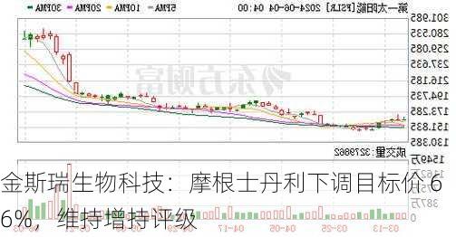 金斯瑞生物科技：摩根士丹利下调目标价 66%，维持增持评级