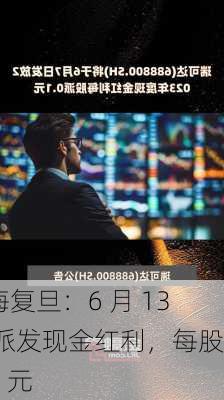 上海复旦：6 月 13 日派发现金红利，每股 0.1 元