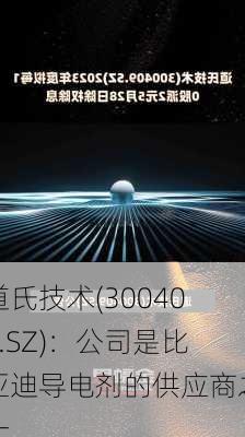 道氏技术(300409.SZ)：公司是比亚迪导电剂的供应商之一