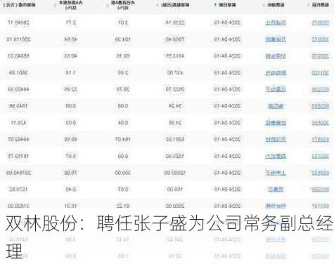 双林股份：聘任张子盛为公司常务副总经理