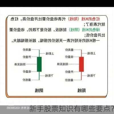 新手股票知识有哪些要点？