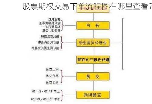 股票期权交易下单流程图在哪里查看？