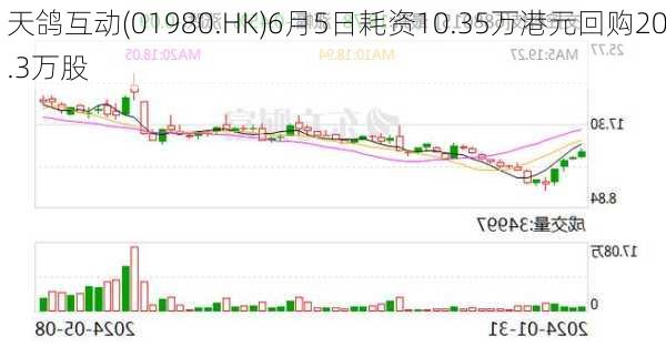 天鸽互动(01980.HK)6月5日耗资10.35万港元回购20.3万股