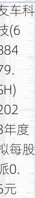 友车科技(688479.SH)2023年度拟每股派0.5元 6月13日除权除息