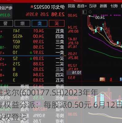 雅戈尔(600177.SH)2023年年度权益分派：每股派0.50元 6月12日股权登记