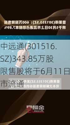 中远通(301516.SZ)343.85万股限售股将于6月11日上市流通