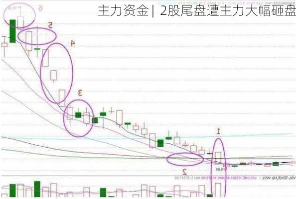 主力资金 |  2股尾盘遭主力大幅砸盘