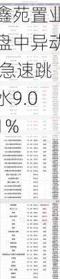 鑫苑置业盘中异动 急速跳水9.01%