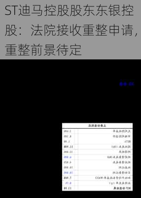 ST迪马控股股东东银控股：法院接收重整申请，重整前景待定