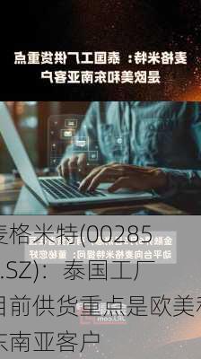 麦格米特(002851.SZ)：泰国工厂目前供货重点是欧美和东南亚客户