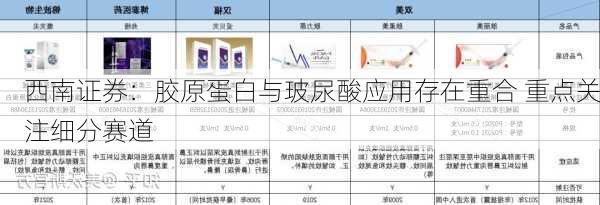 西南证券：胶原蛋白与玻尿酸应用存在重合 重点关注细分赛道