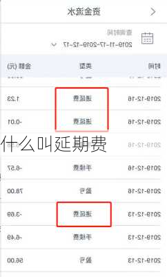 什么叫延期费