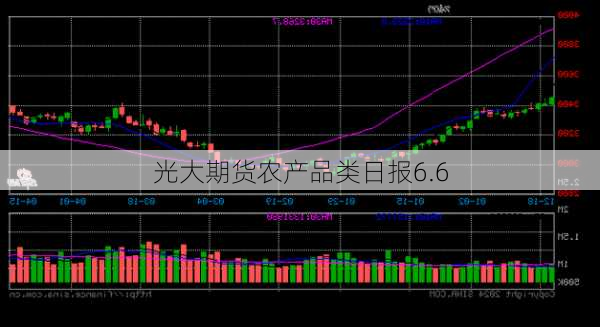 光大期货农产品类日报6.6