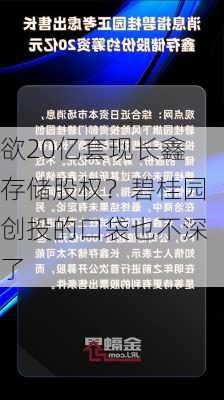 欲20亿套现长鑫存储股权？碧桂园创投的口袋也不深了