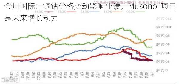 金川国际：铜钴价格变动影响业绩，Musonoi 项目是未来增长动力