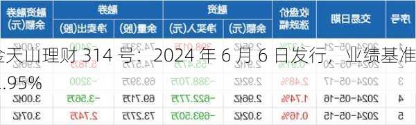 金天山理财 314 号：2024 年 6 月 6 日发行，业绩基准 2.95%