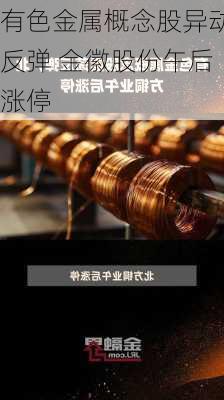 有色金属概念股异动反弹 金徽股份午后涨停