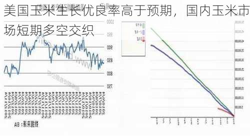 美国玉米生长优良率高于预期，国内玉米市场短期多空交织