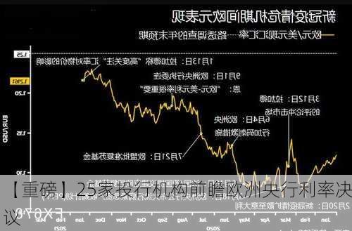 【重磅】25家投行机构前瞻欧洲央行利率决议