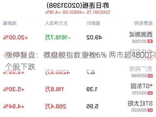 涨停复盘：微盘股指数重挫6% 两市超4800只个股下跌