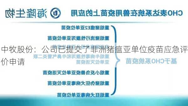 中牧股份：公司已提交了非洲猪瘟亚单位疫苗应急评价申请