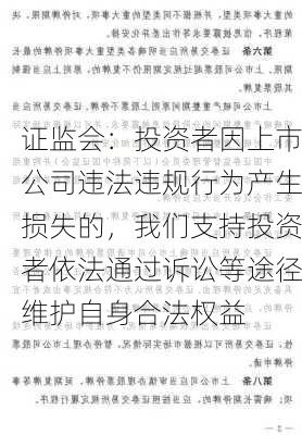 证监会：投资者因上市公司违法违规行为产生损失的，我们支持投资者依法通过诉讼等途径维护自身合法权益