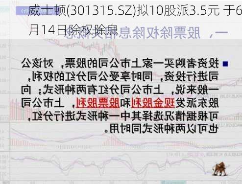 威士顿(301315.SZ)拟10股派3.5元 于6月14日除权除息
