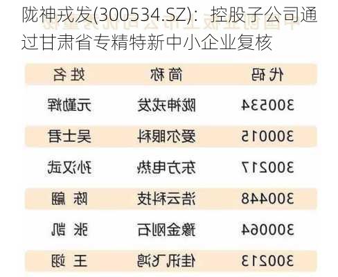 陇神戎发(300534.SZ)：控股子公司通过甘肃省专精特新中小企业复核