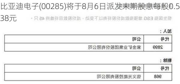 比亚迪电子(00285)将于8月6日派发末期股息每股0.538元