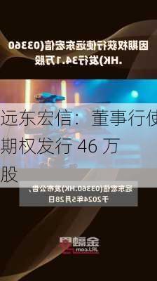 远东宏信：董事行使期权发行 46 万股