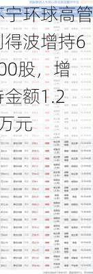 苏宁环球高管刘得波增持6300股，增持金额1.23万元