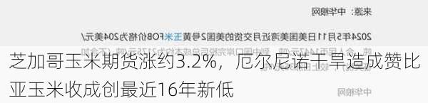 芝加哥玉米期货涨约3.2%，厄尔尼诺干旱造成赞比亚玉米收成创最近16年新低