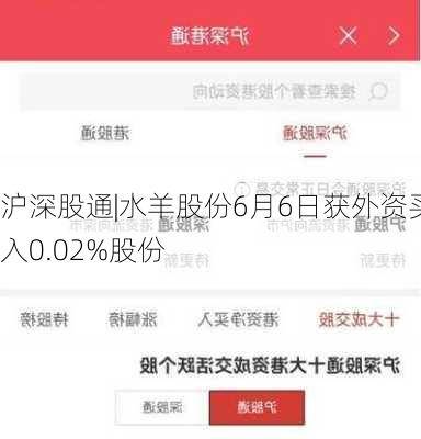 沪深股通|水羊股份6月6日获外资买入0.02%股份