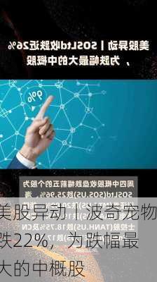 美股异动丨波奇宠物跌22%，为跌幅最大的中概股