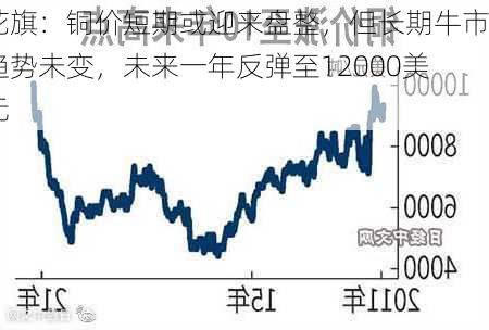 花旗：铜价短期或迎来盘整，但长期牛市趋势未变，未来一年反弹至12000美元