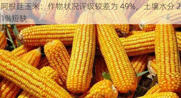 阿根廷玉米：作物状况评级较差为 49%，土壤水分 21%短缺