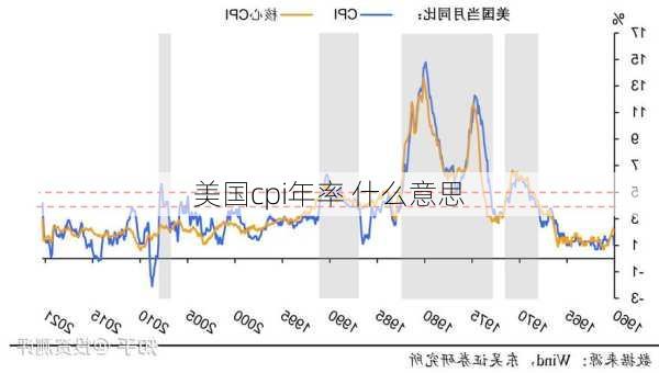 美国cpi年率 什么意思