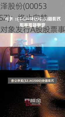 万泽股份(000534.SZ)：终止向特定对象发行A股股票事项