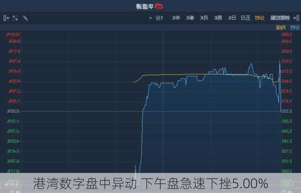 港湾数字盘中异动 下午盘急速下挫5.00%