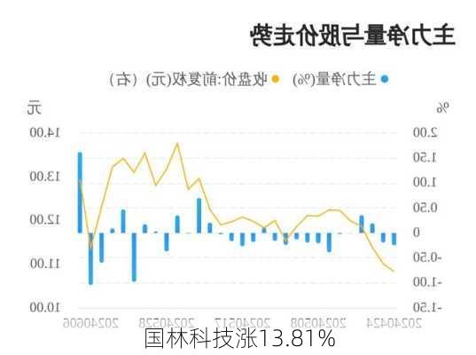 国林科技涨13.81%