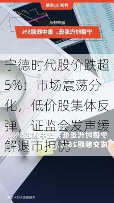 宁德时代股价跌超5%：市场震荡分化，低价股集体反弹，证监会发声缓解退市担忧