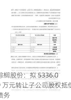 棕榈股份：拟 5336.09 万元转让子公司股权抵偿债务