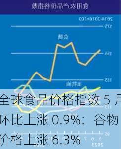 全球食品价格指数 5 月环比上涨 0.9%：谷物价格上涨 6.3%